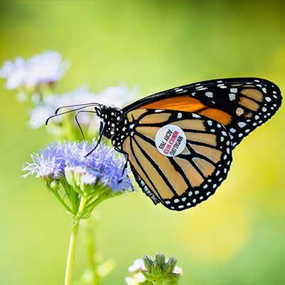 Drink Wine at Delaney Vineyards and Winery
