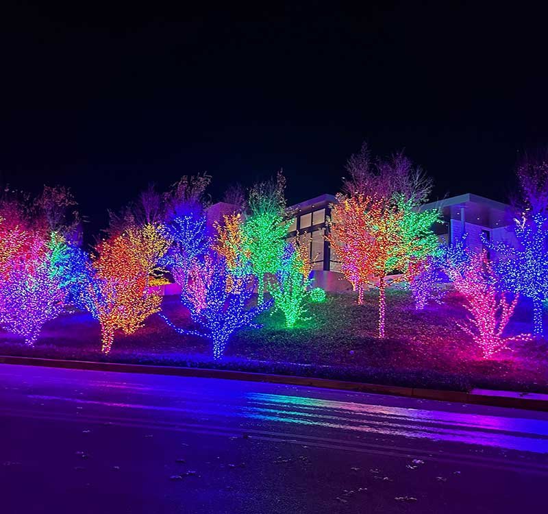 Dallas neighborhood Christmas tree lights during nighttime<br />
