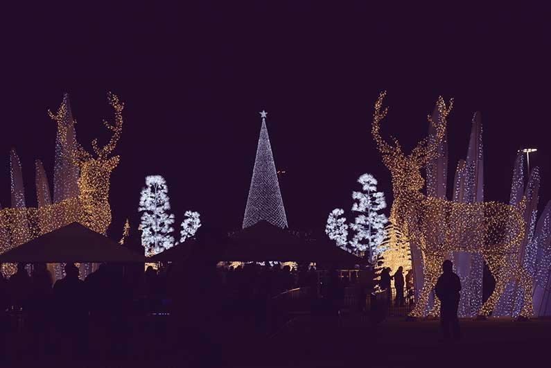 Ride a Limo to the Dallas Holiday Light Tours of 2024