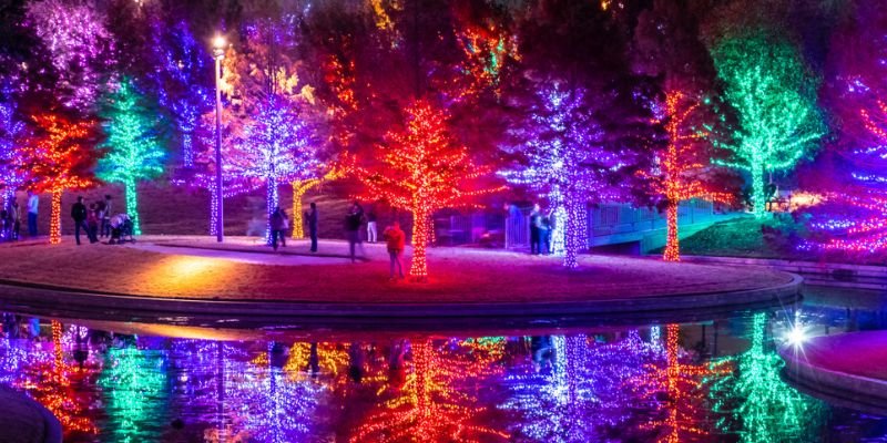 Dfw Limo Christmas Lights Tours Where The Magic Actually Happens